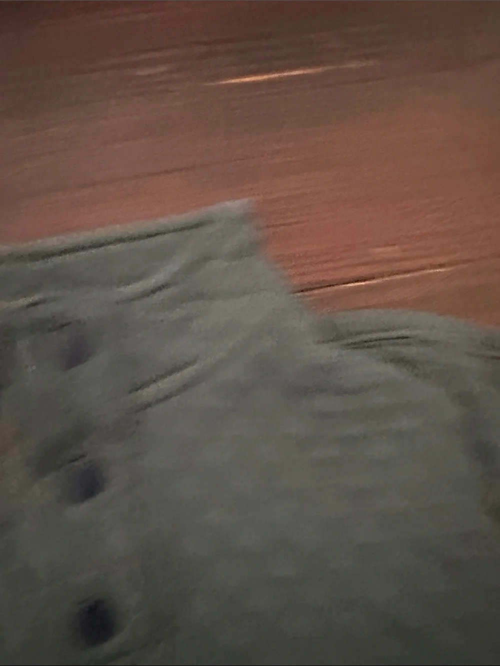 Old Navy cozy quilted